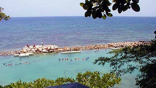 view of the dolphin cove